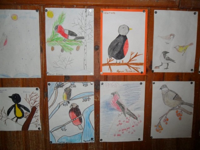 зимующие птицы картинки для детей